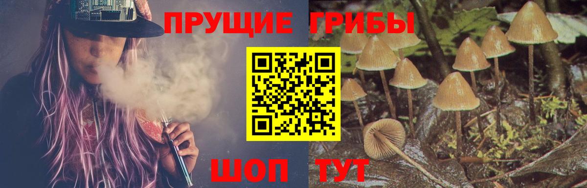 Галлюциногенные грибы GOLDEN TEACHER Кемерово